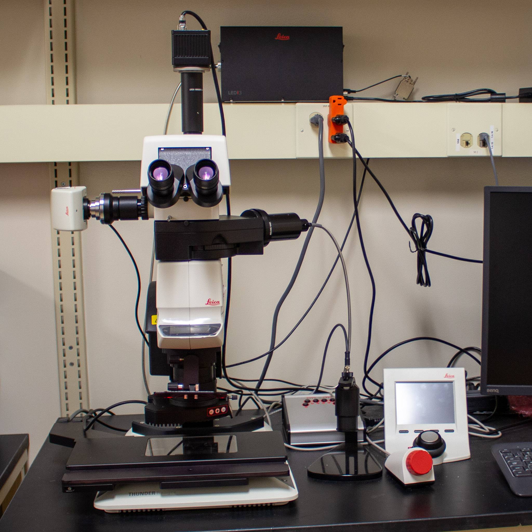 Leica Thunder Model Organism Stereomicroscope Leica Thunder