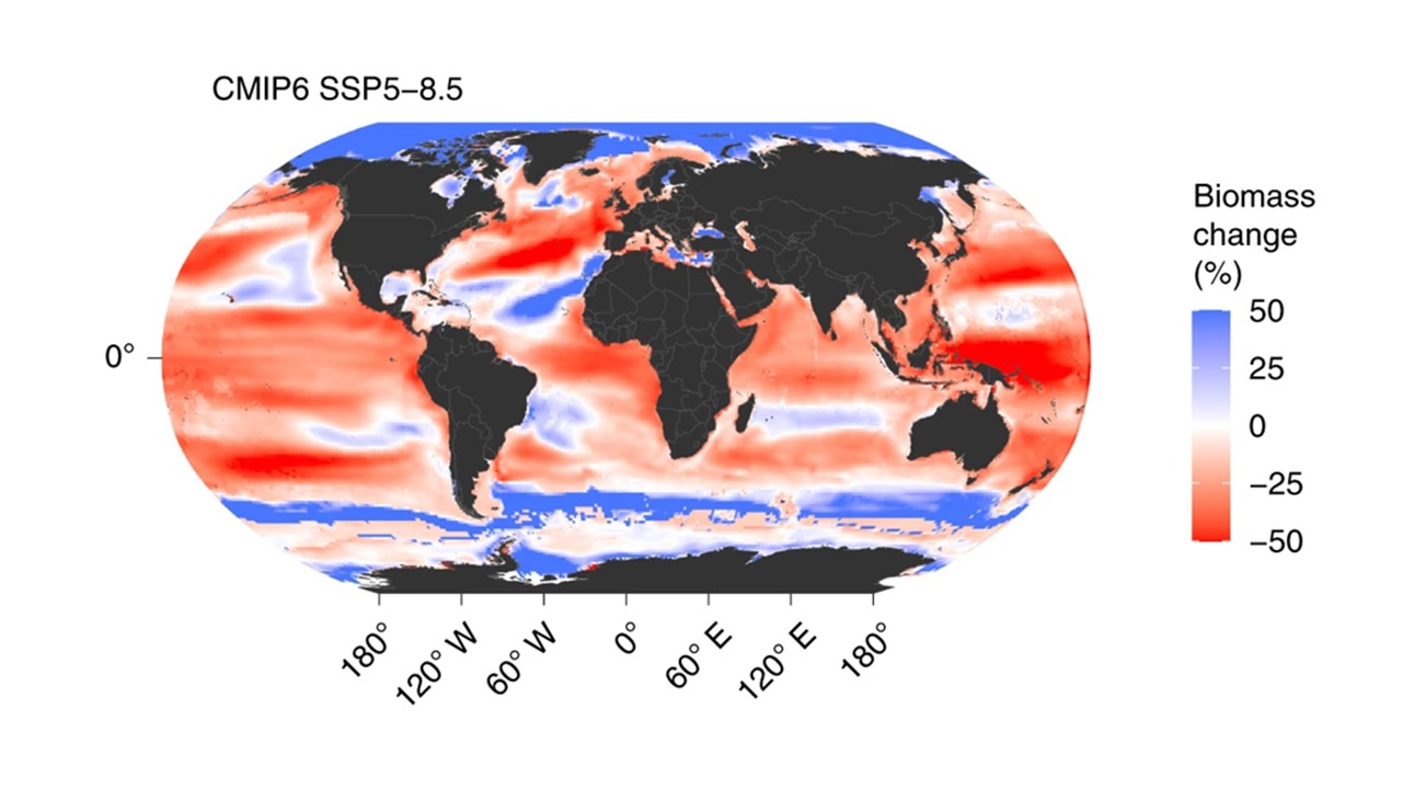 a map of the globe with red over the majority of the Atlantic and Pacific oceans and blue around the poles