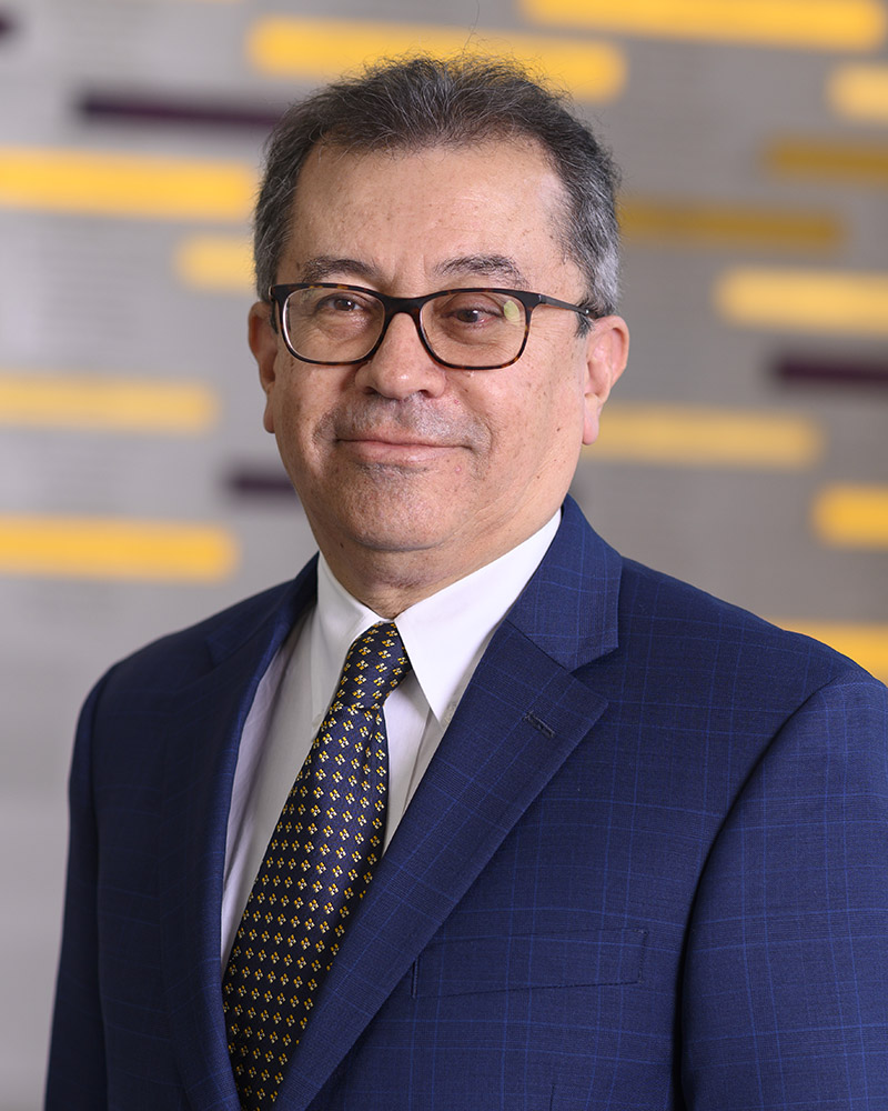 Ayman Okeil