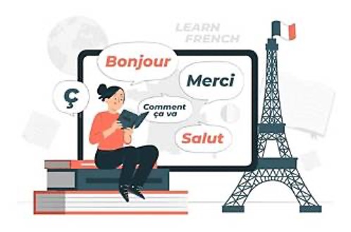 A graphic of a woman sitting on books learning french