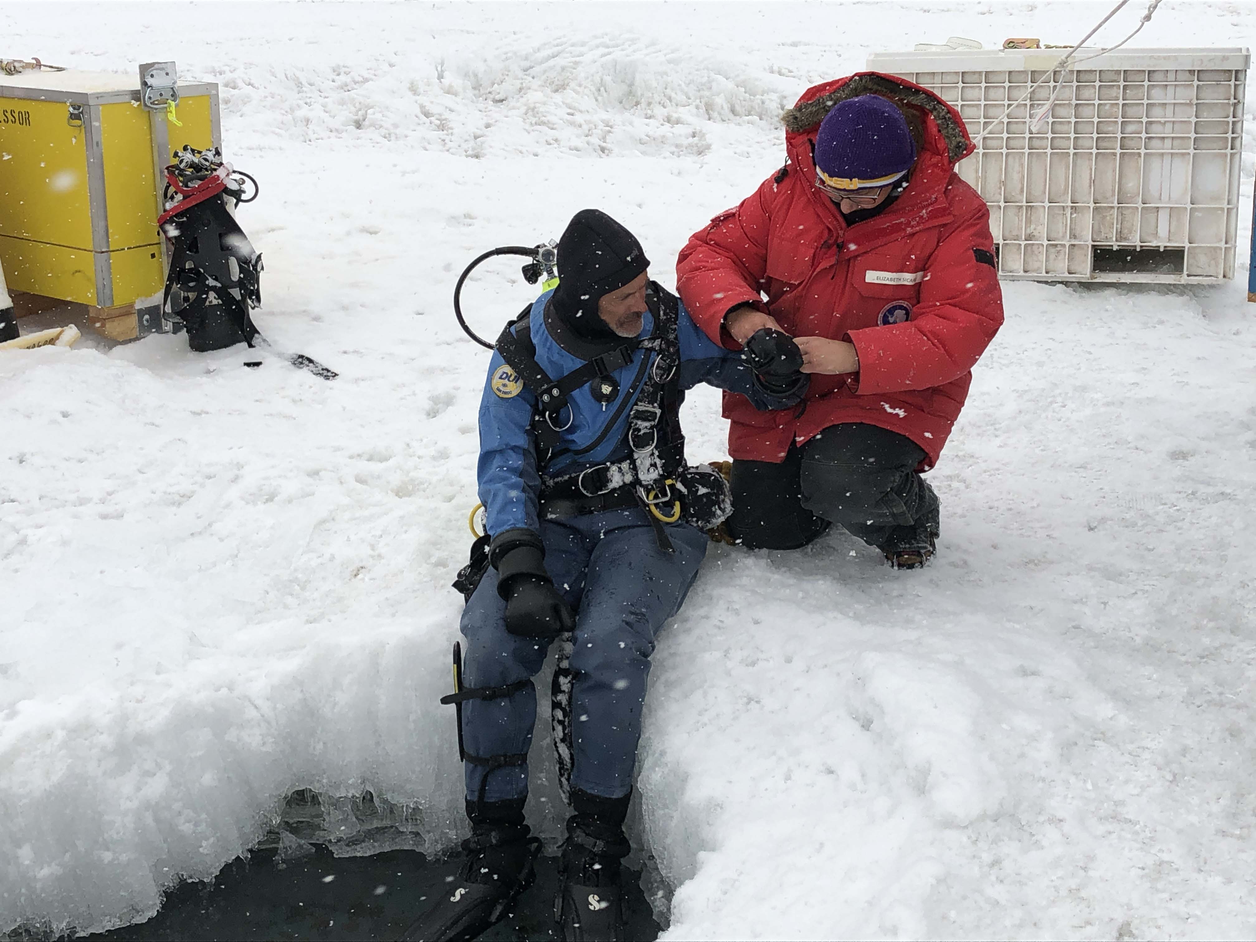 elizabeth in antarctica