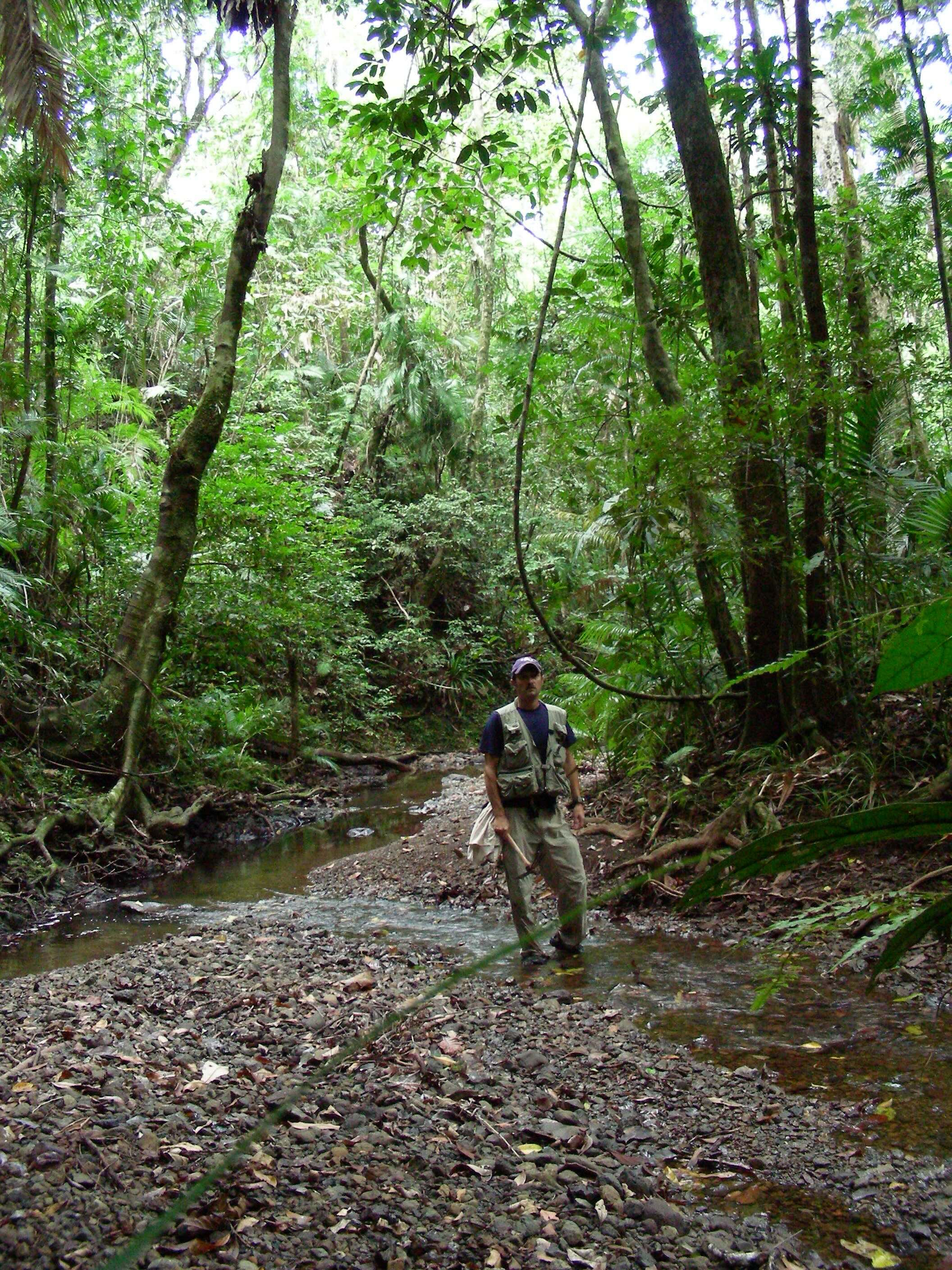Dr. Austin in New Guinea florest