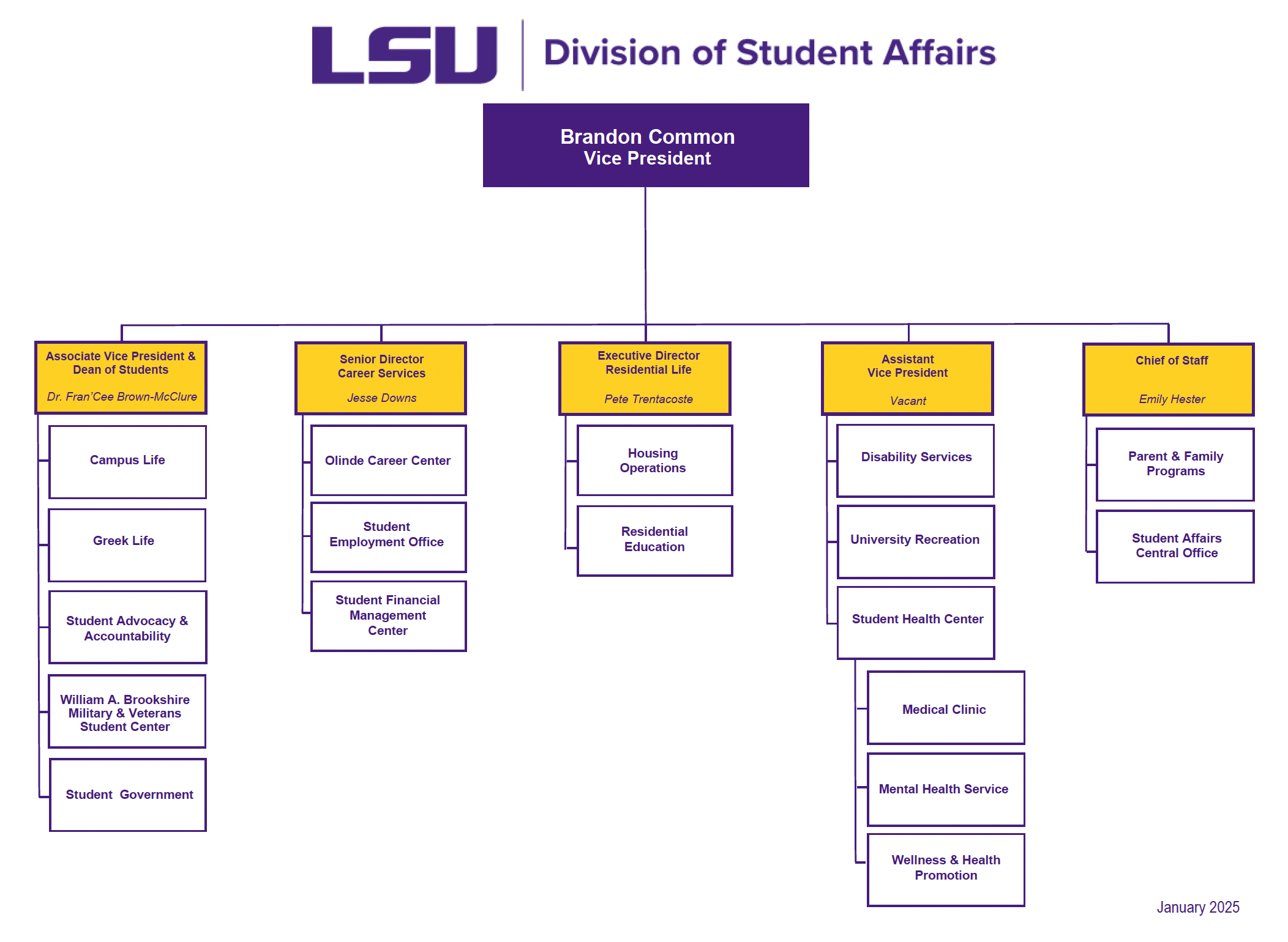 image of Division of Student Affairs org chart