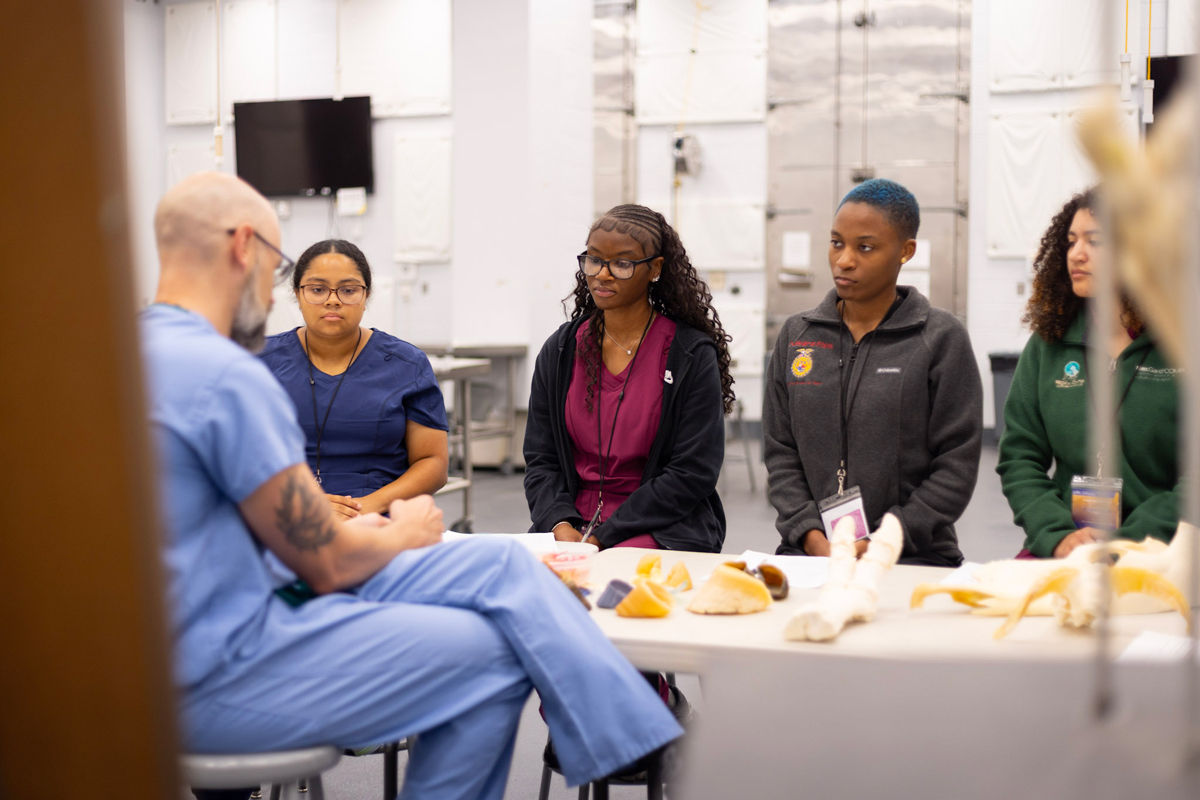 students sitting behind a table with anatomy specimens