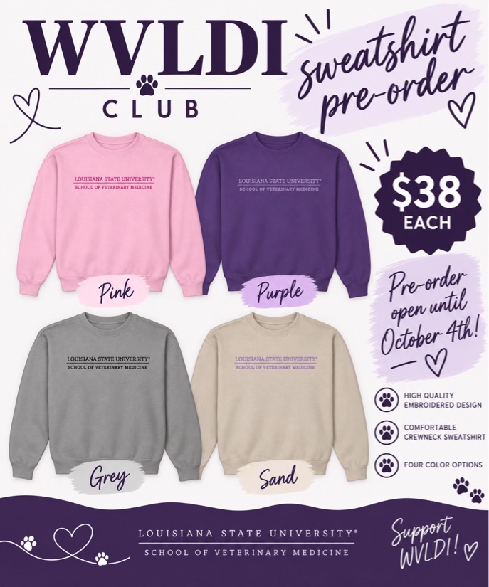 flyer for shirts
